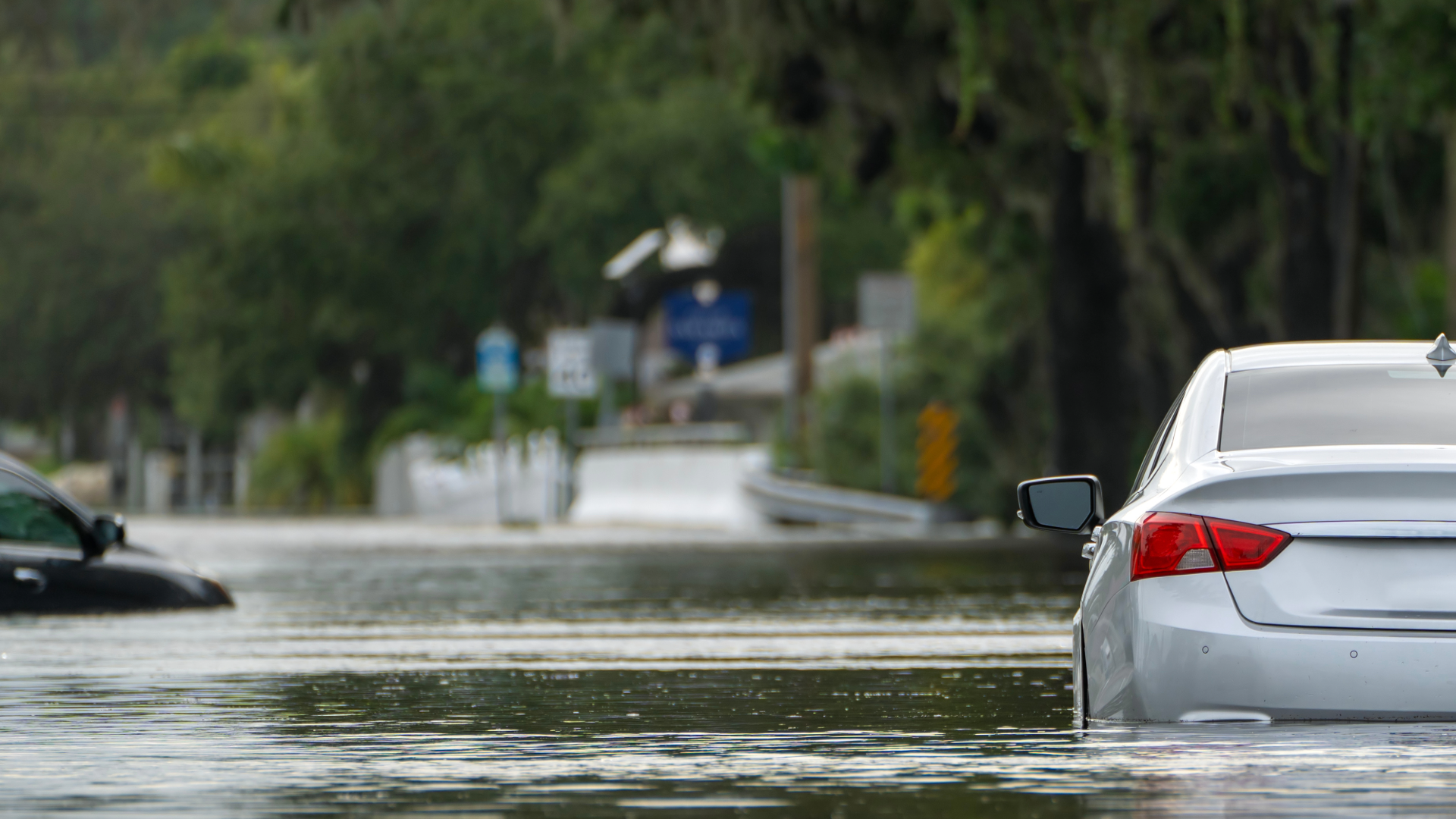 Flooded coastal road showing the risks of building in Florida’s flood zones.